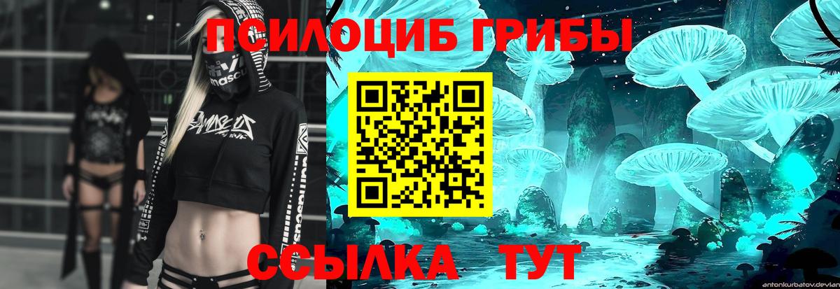 Галлюциногенные грибы MAGIC MUSHROOMS  даркнет сайт  Галлюциногенные грибы мухоморы  Лесной  Вход с VPN 