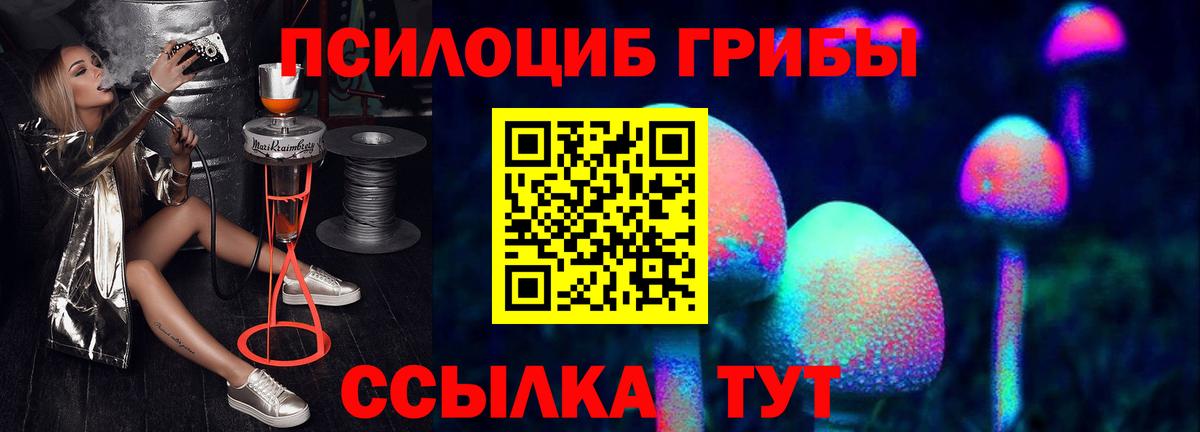 Псилоцибиновые грибы мицелий Лесной